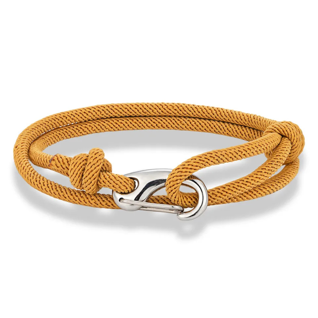Reef - L'élégance marine